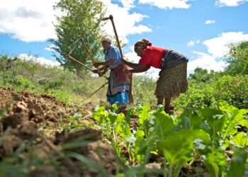 It’s Time for Agricultural Revolution as Africa’s Food Crisis Worsens