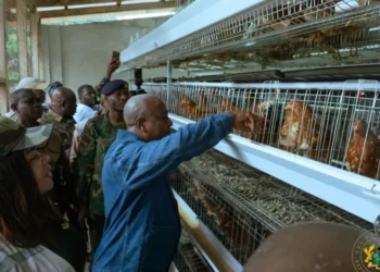 Ghana’s President commits to end chicken imports
