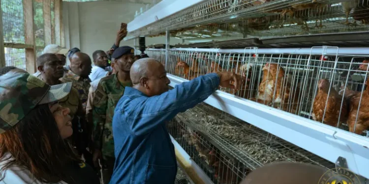 Ghana’s President commits to end chicken imports
