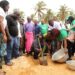 Ghana's Minister of Tourism, Culture and Creative Arts , Abla Dzifa Gomashie planting a coconut seedling during the World Tourism Day at Agavedzi
