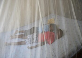 Beyond chemicals: Embracing ecological solutions for Ghana’s malaria challenge in a changing climate