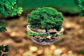 Nature-positive growth