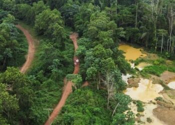 Forest reserves under attacks in Ghana due to illegal mining