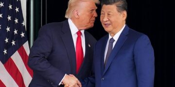 Xi told Trump that the two countries 'should have positive interactions on the regional and international stage