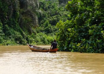 Ghana, UNDP push for stronger financing to protect biodiversity