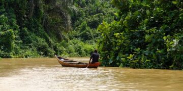 Ghana, UNDP push for stronger financing to protect biodiversity