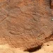 This image provided by Sahout Rock Art and Archaeology Project shows a life-size rock carving of a camel, in a desert in northern Saudi Arabia in 2023. (Maria Guagnin/Sahout Rock Art and Archaeology Project via AP)