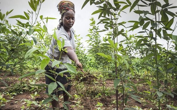 A farmer on her farm