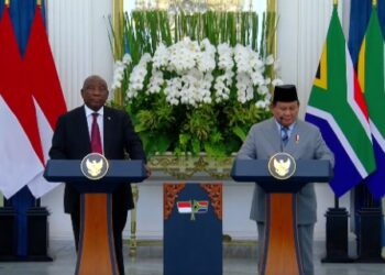 President Cyril Ramaphosa (left) with his Indonesian counterpart