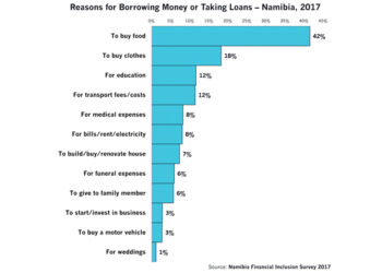 What people took loans for in Namibia from 2017 to 2025