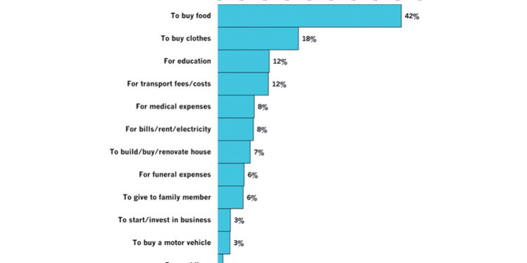 What people took loans for in Namibia from 2017 to 2025