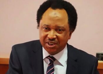 Former Kaduna Central senator, Shehu Sani