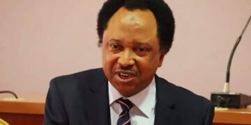 Former Kaduna Central senator, Shehu Sani