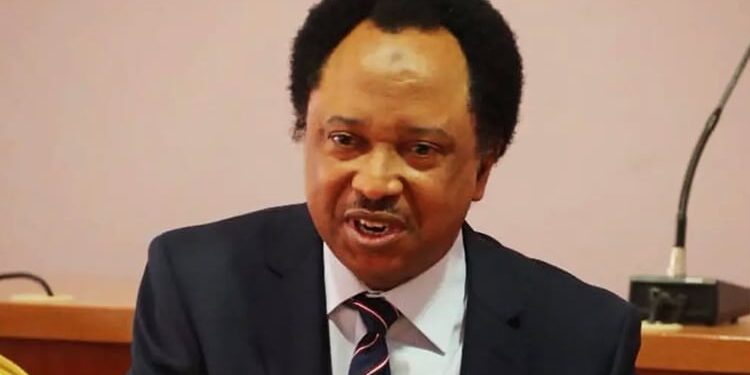 Former Kaduna Central senator, Shehu Sani
