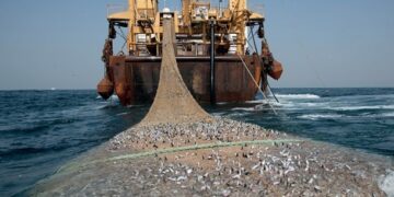 GMA deregisters 72 vessels