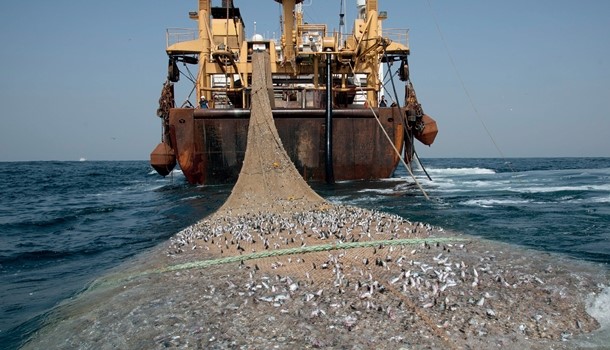 GMA deregisters 72 vessels