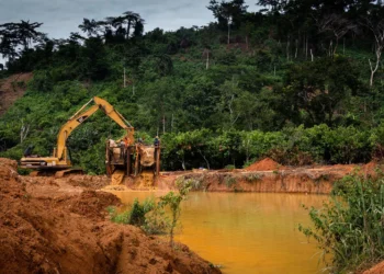 Ghana seizes excavators, vehicles in crackdown on illegal mining
