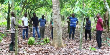 Restoring Ghana’s forests and livelihood