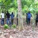 Restoring Ghana’s forests and livelihood
