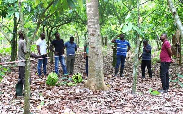 Restoring Ghana’s forests and livelihood