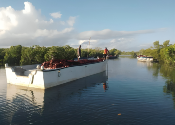 Fishermen at the Jimbiza shoreline in Kilwa Masoko set out toward the open sea as they begin their daily fishing expedition. Image for Mongabay.