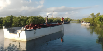 Fishermen at the Jimbiza shoreline in Kilwa Masoko set out toward the open sea as they begin their daily fishing expedition. Image for Mongabay.
