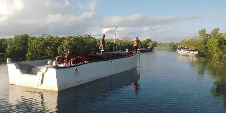 Fishermen at the Jimbiza shoreline in Kilwa Masoko set out toward the open sea as they begin their daily fishing expedition. Image for Mongabay.
