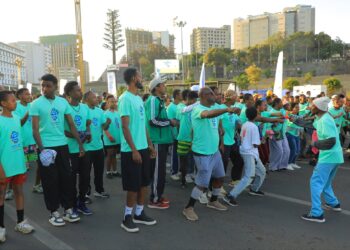 Manufacturing push gains momentum as Ethiopia cements economic foundation: Minister Melaku