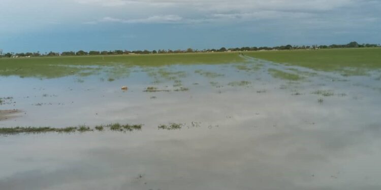 Cuvelai and Kunene River Basins in northern Namibia and southern Angola