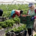 Moroccan seasonal agricultural workers in Huelva continue to endure brutal, life-threatening conditions that rights groups say have long been ignored.
