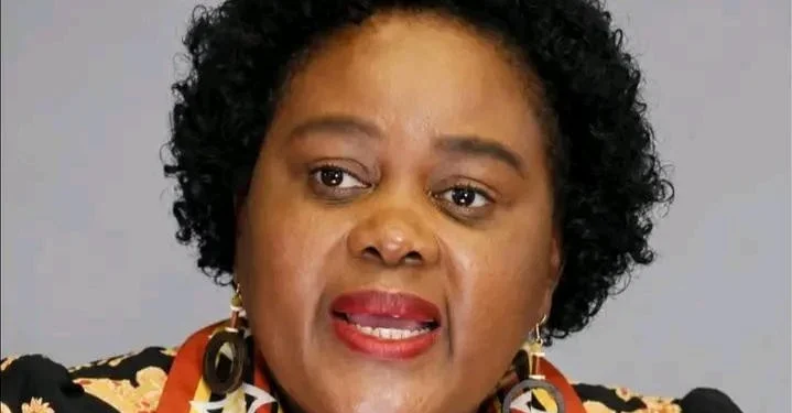 … Minister says country not xenophobic
