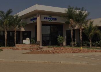 Cenored employee dies in power line accident