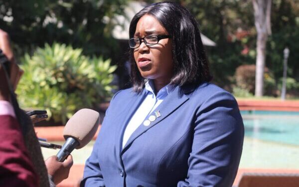 Battle over Malawi’s fertiliser trade: Minister Mbilizi accuses cartels of trying to derail reform plans