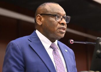 ECA chief urges shift from victimhood to active climate leadership