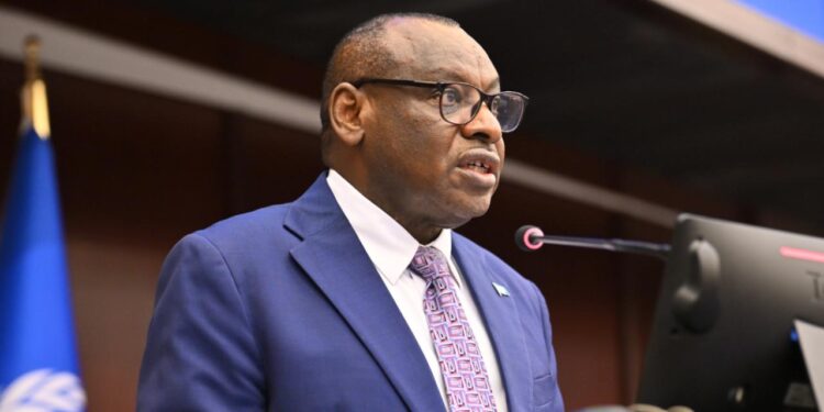 ECA chief urges shift from victimhood to active climate leadership