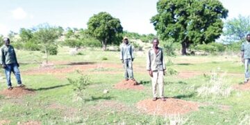 YAP personnel standing on the spots where the seedlings planted failed to survive