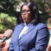 Fertiliser scandal engulfs minister Mbilizi as opposition brands DPP a shield for corruption
